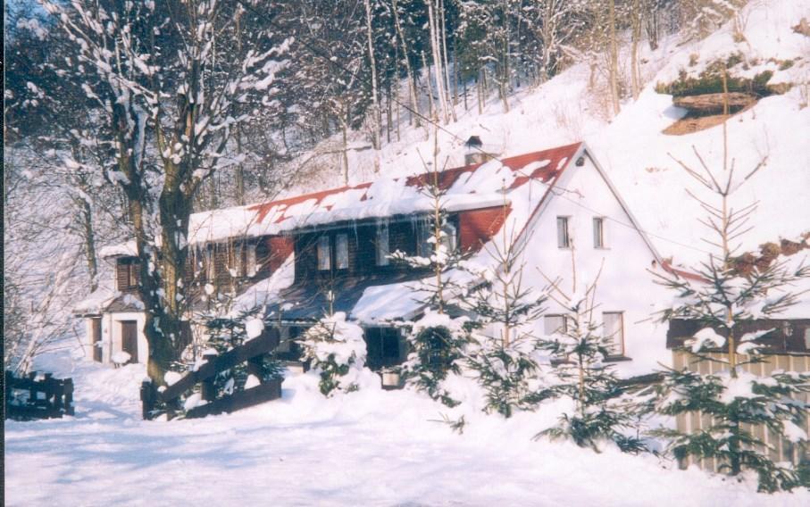 Holiday Home Ve Vlcicich Vlcice Extérieur photo